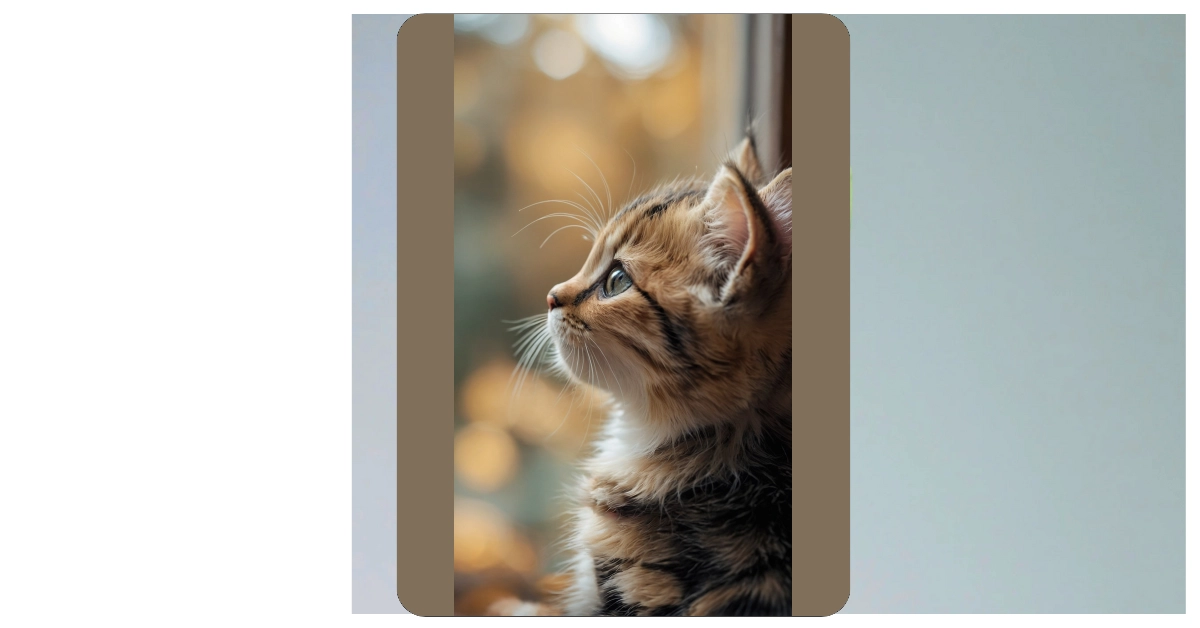 Pounce into Aesthetic Bliss: 11 Kitten Wallpaper Ideas